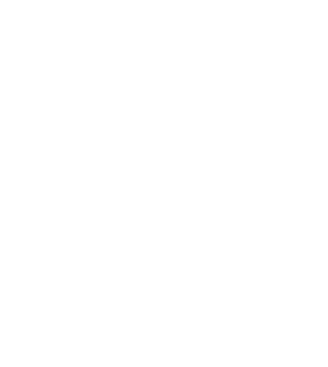 BTI Technology