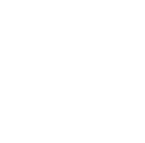 BTI Technology